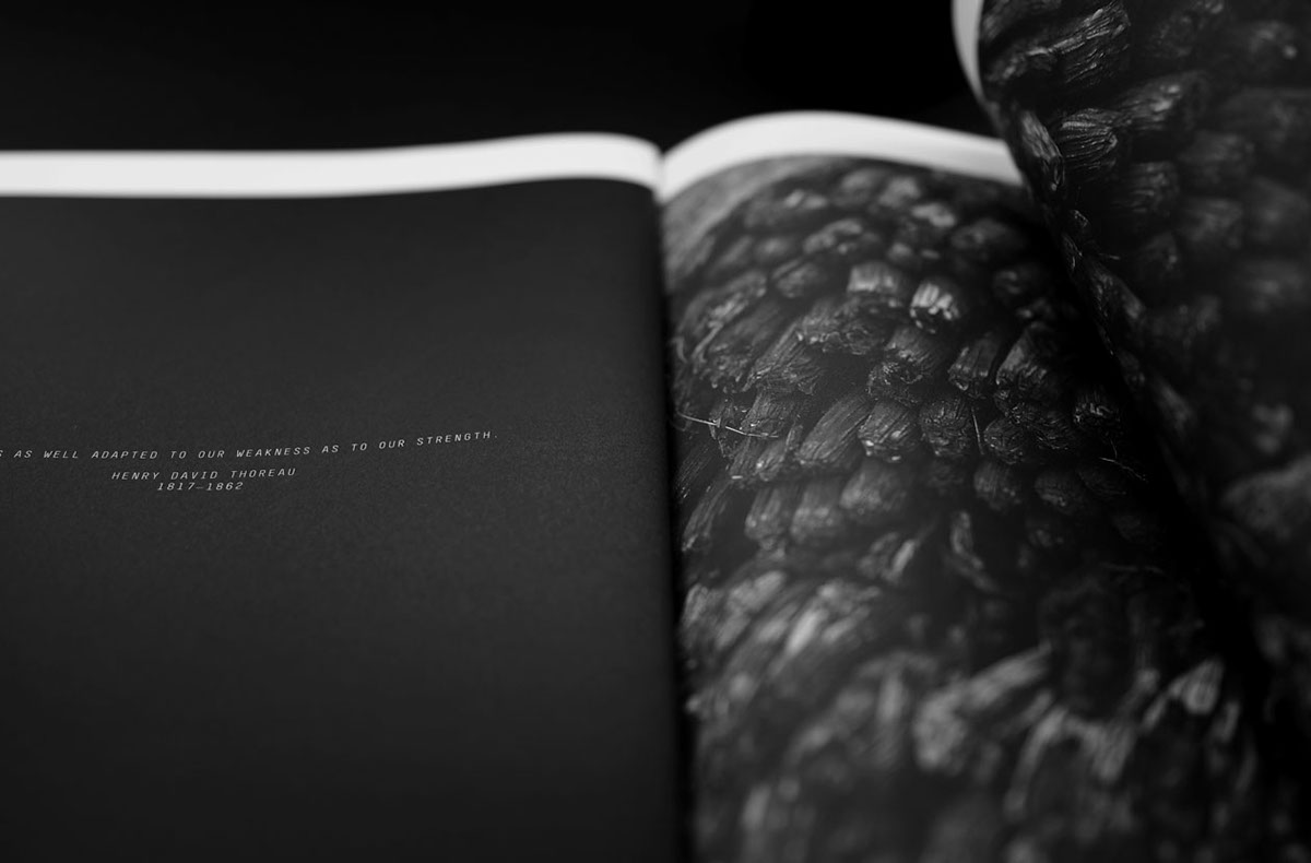 print photo publication black and white type editorial