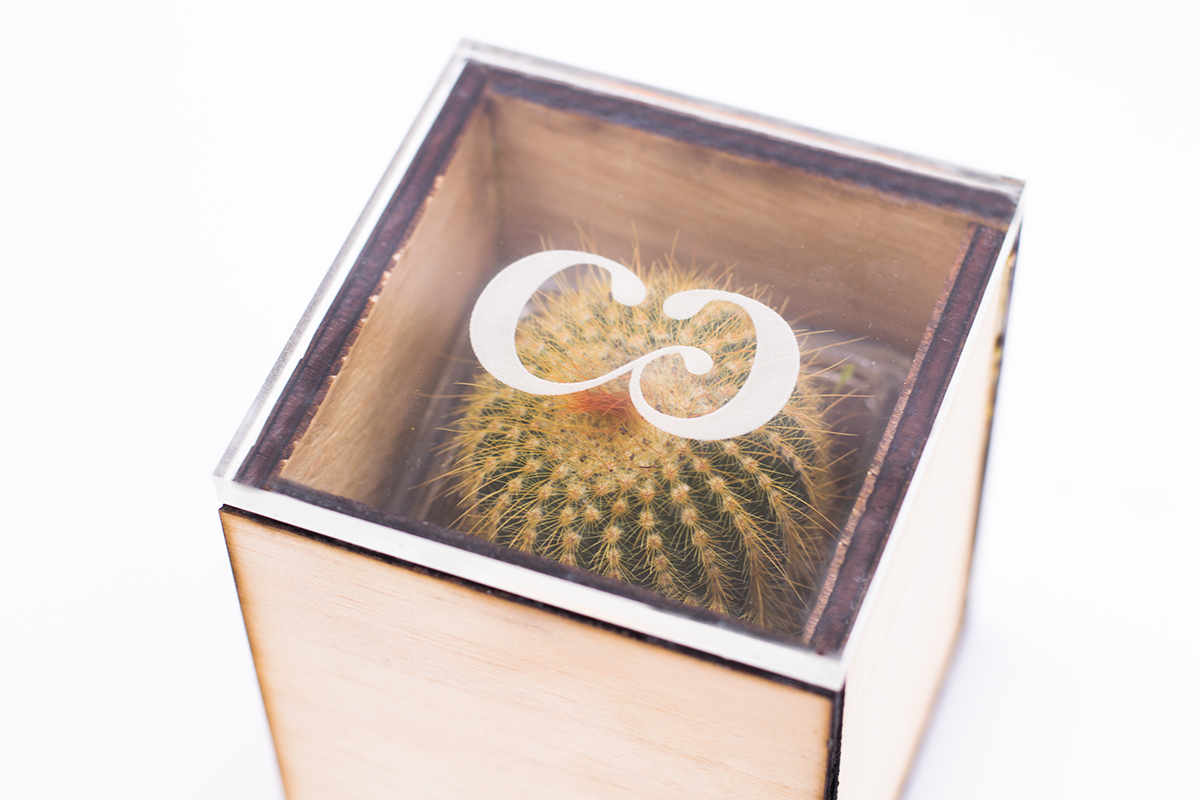 diseno de empaque empaque cartagrama marca minimalita materials wood acrylic tea