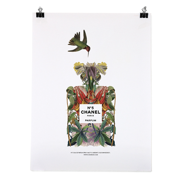 Adobe Portfolio collage chanel chanel no. 5 ad print ad Magazine Ad perfume Flowers humming bird bird john james audubon