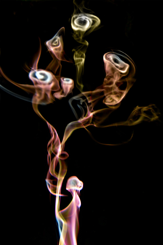 smoke  nikotine art motion photo shape abstract Piano Roses megatron jaffar  catepilar St George Pink Panther allice in wonderland