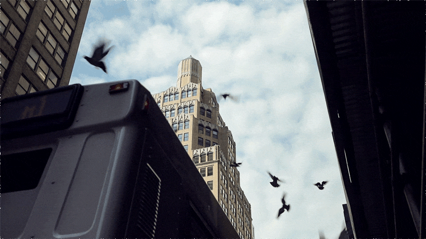 Photography  cinemagraphs gifs newyork