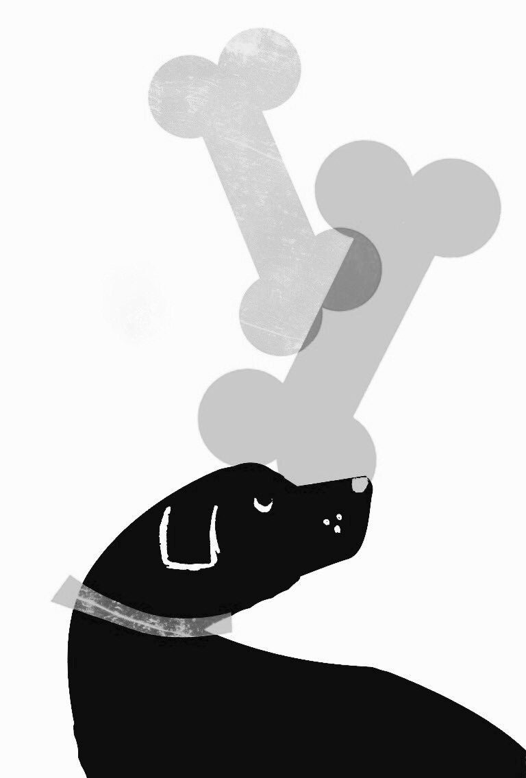 dog labrador retriever children's book ILLUSTRATION  design postcard Illustrator book illustration graphic design 
