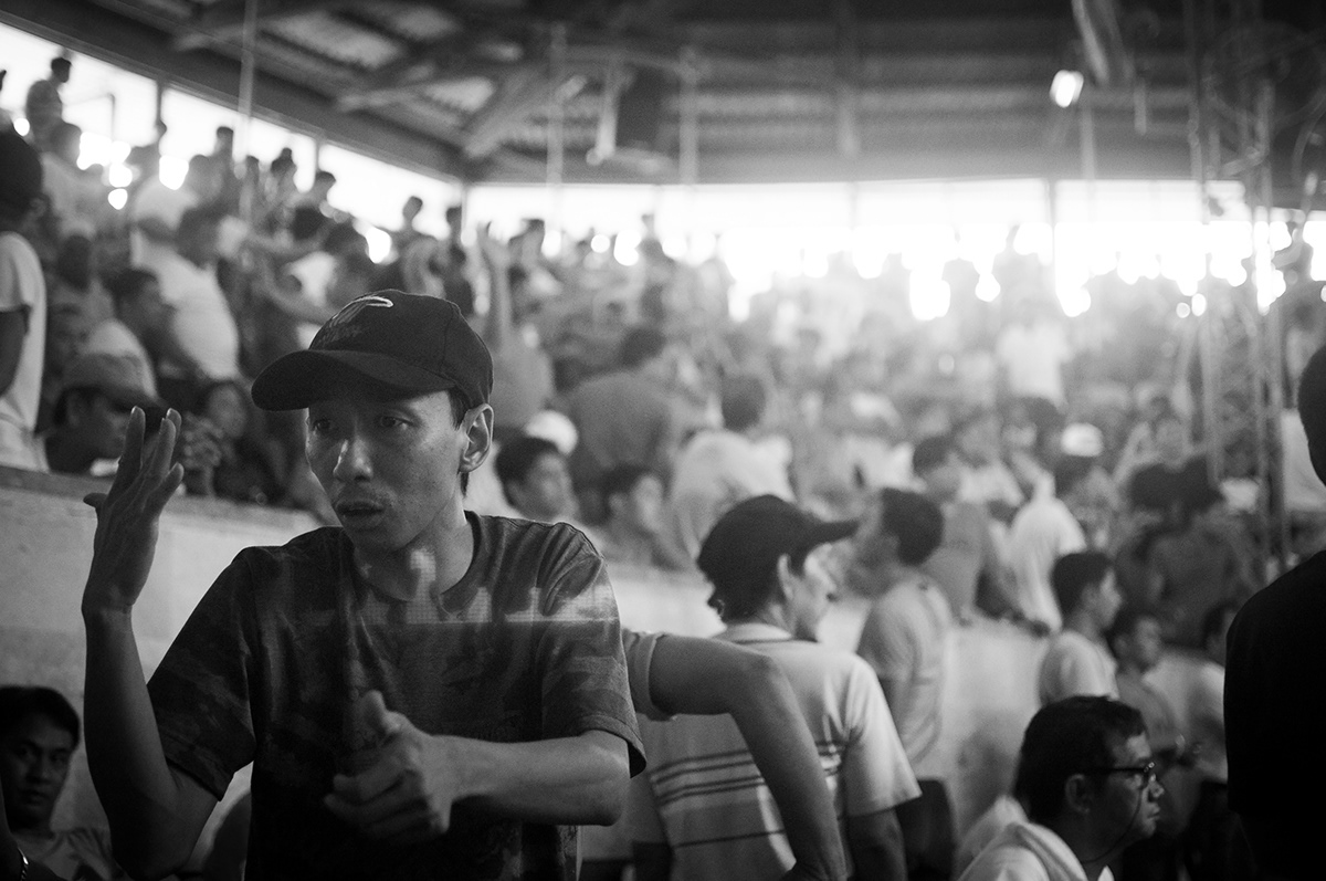 black-and-white b&w Documentary  philippines cockfighting sabong