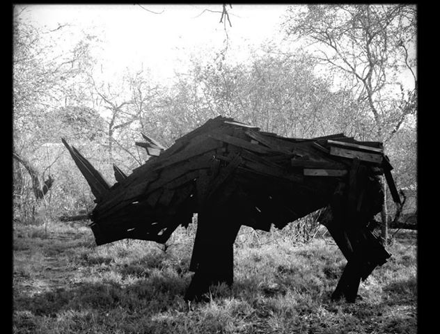 Rhino sculpture land art wood TIMBER wildlife africa