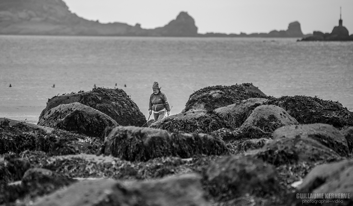 pêche à pied bretagne penestin Île-Grande fishing from the shore