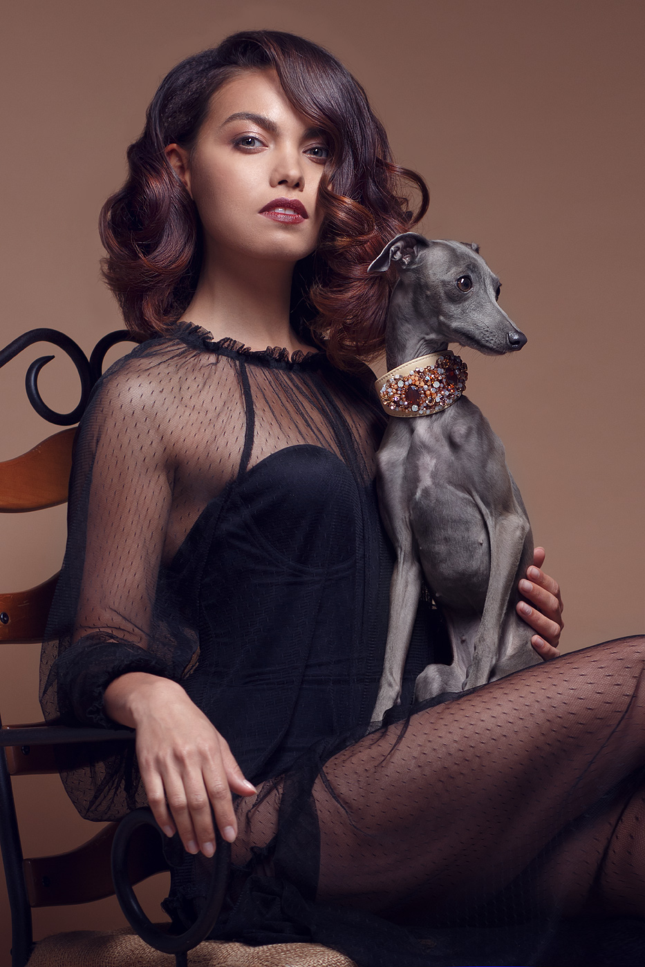 beauty Fashion  israel Photography  fashionphotography italian grayhound dog hair style model shooting