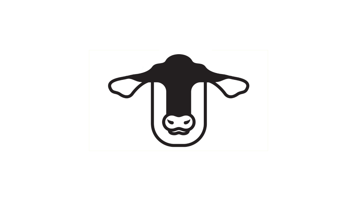 Logo Design logo branding  Brandin Identity