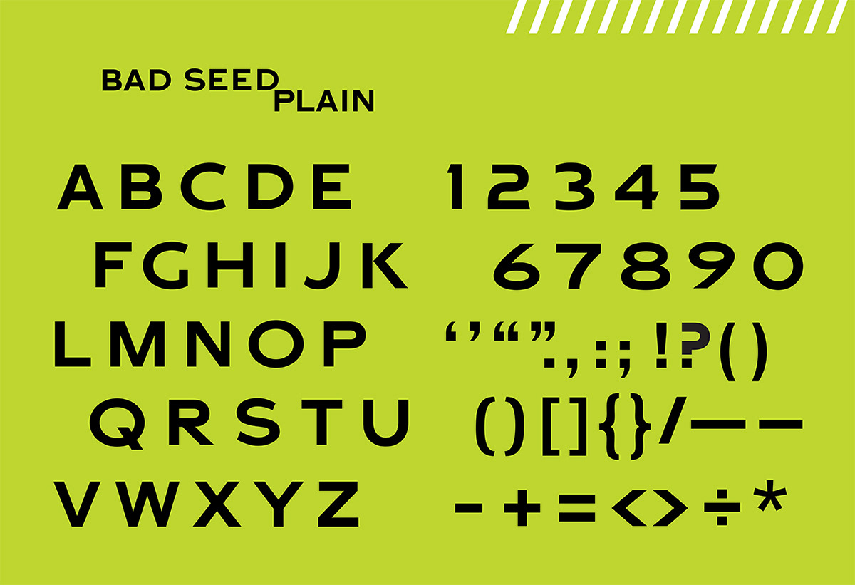 typeface design type design
