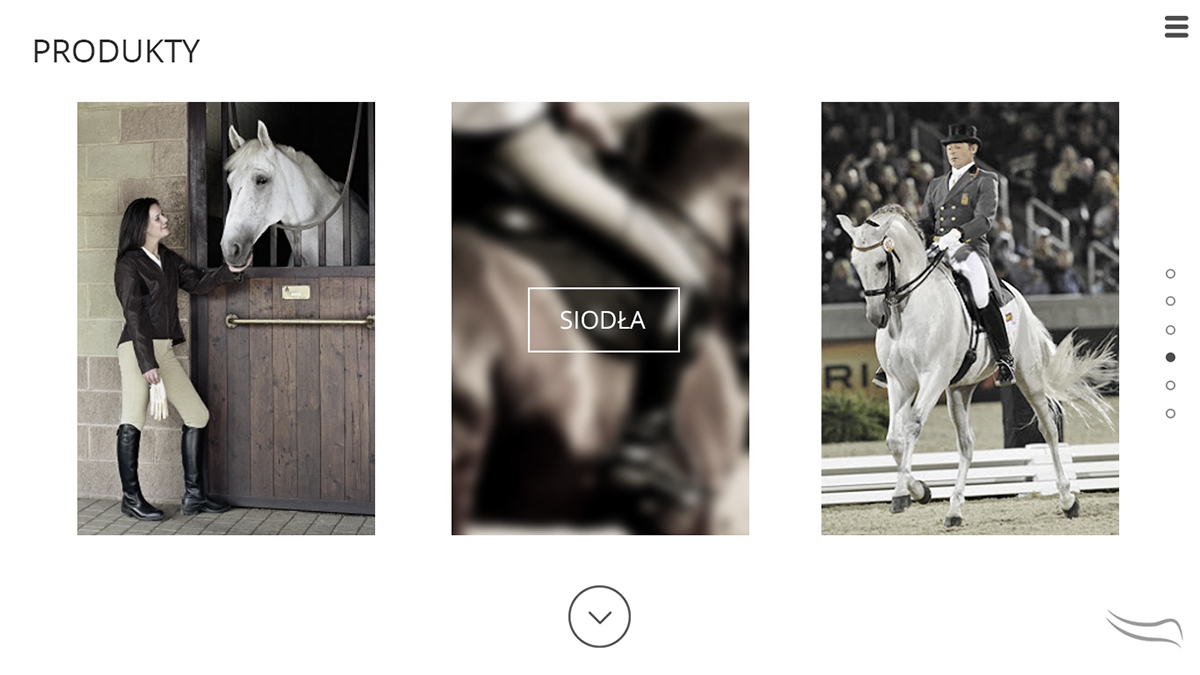 horse indentification horses Website video dressage Web ux UI