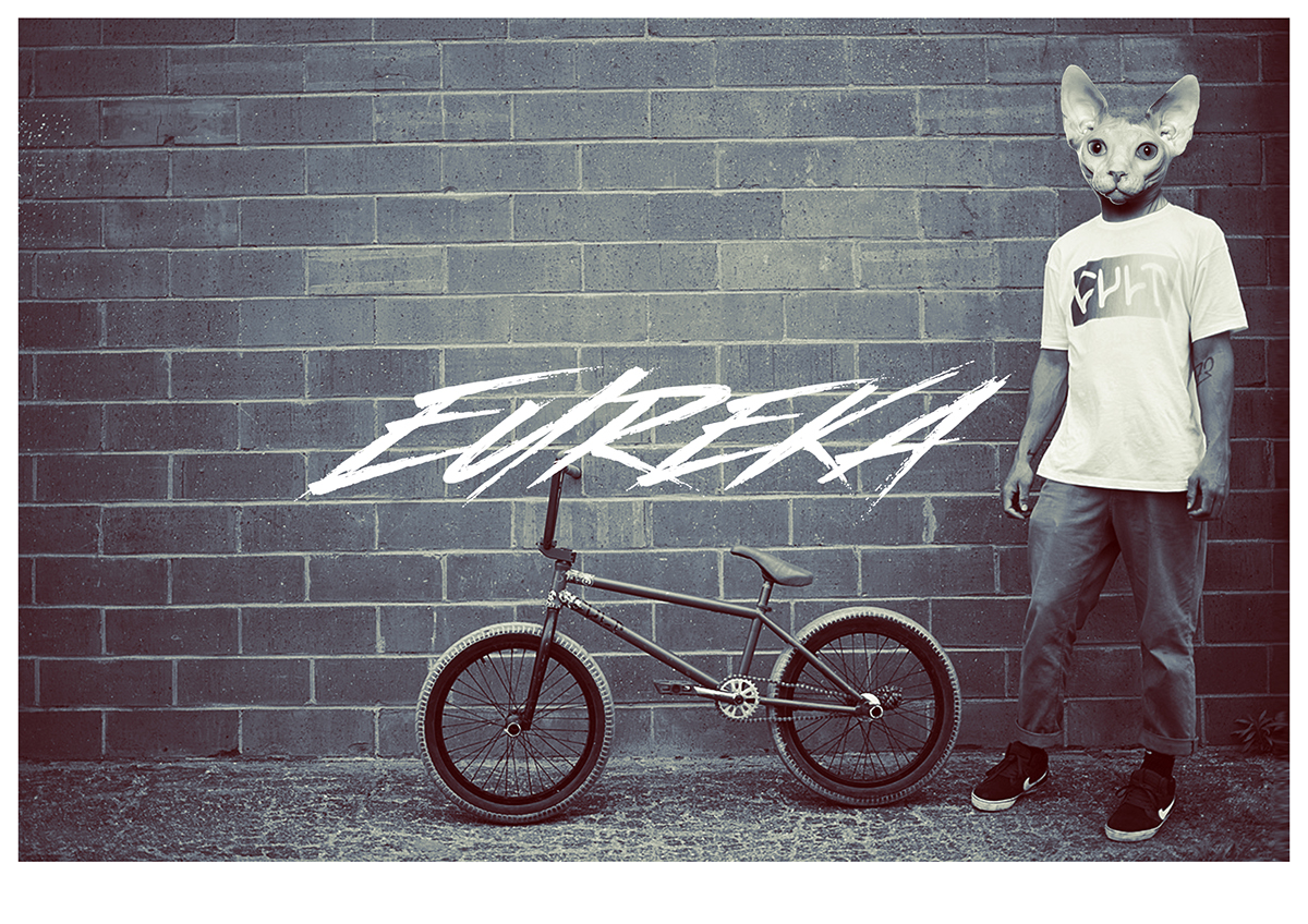 posters Eureka Vans element Nike etnies Sub Rosa biker