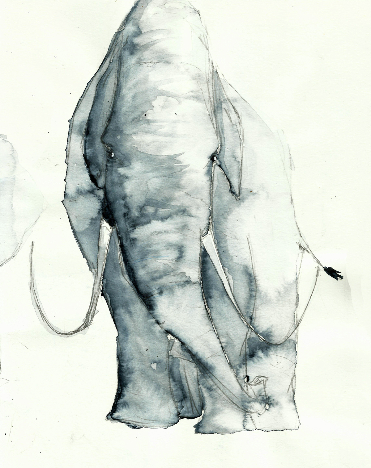 monkey head draw illustrations color aquarelle paint