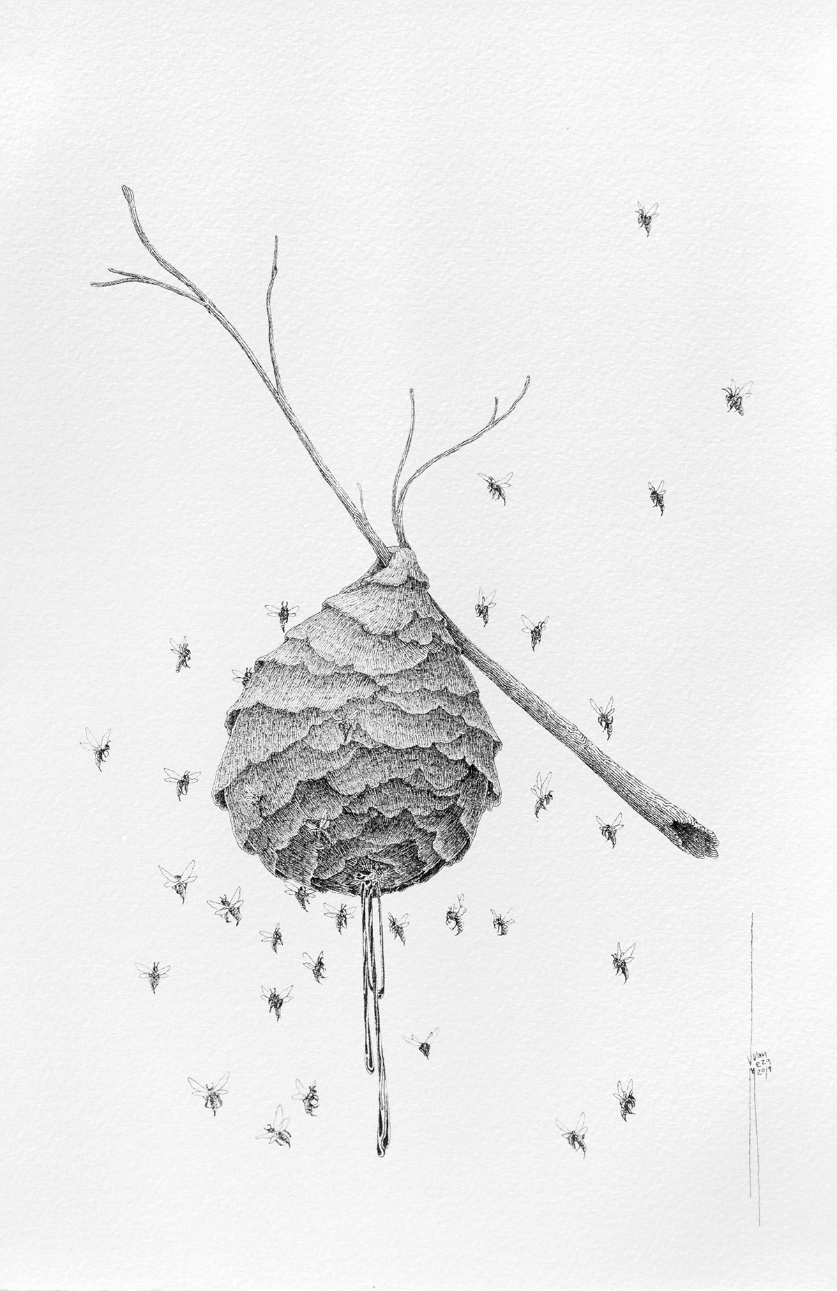 art Drawing  ink Juan Ramón Meza Guatemala Fine Arts  Nature arte dibujo