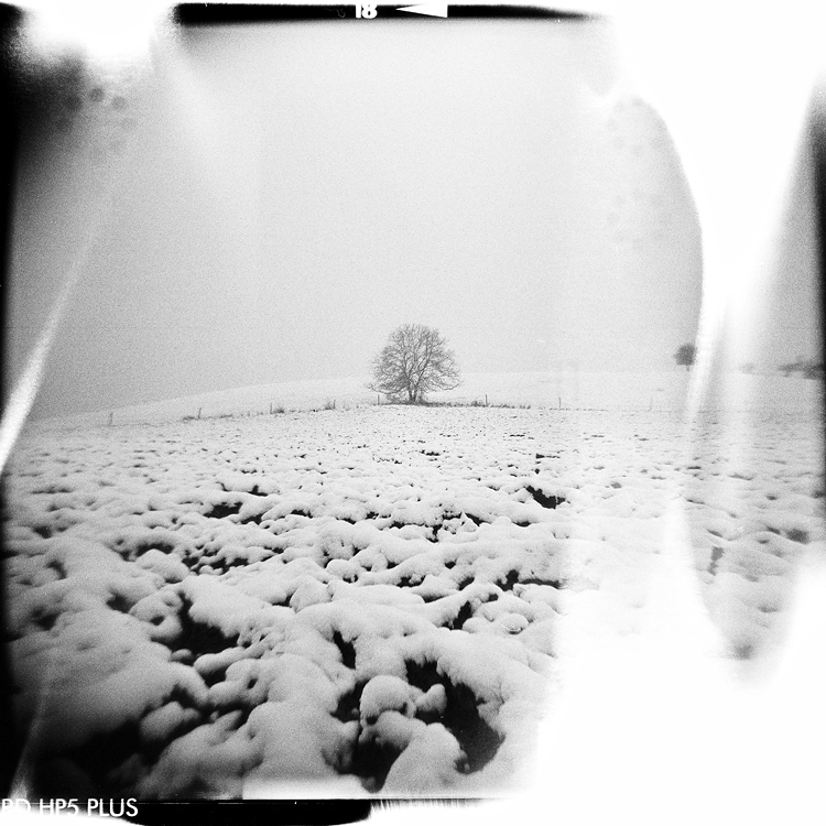 Nature winter square analog film photography holga medium format darkroom lomo Lomography Light Leaks experimental 6x6 toy camera black and white