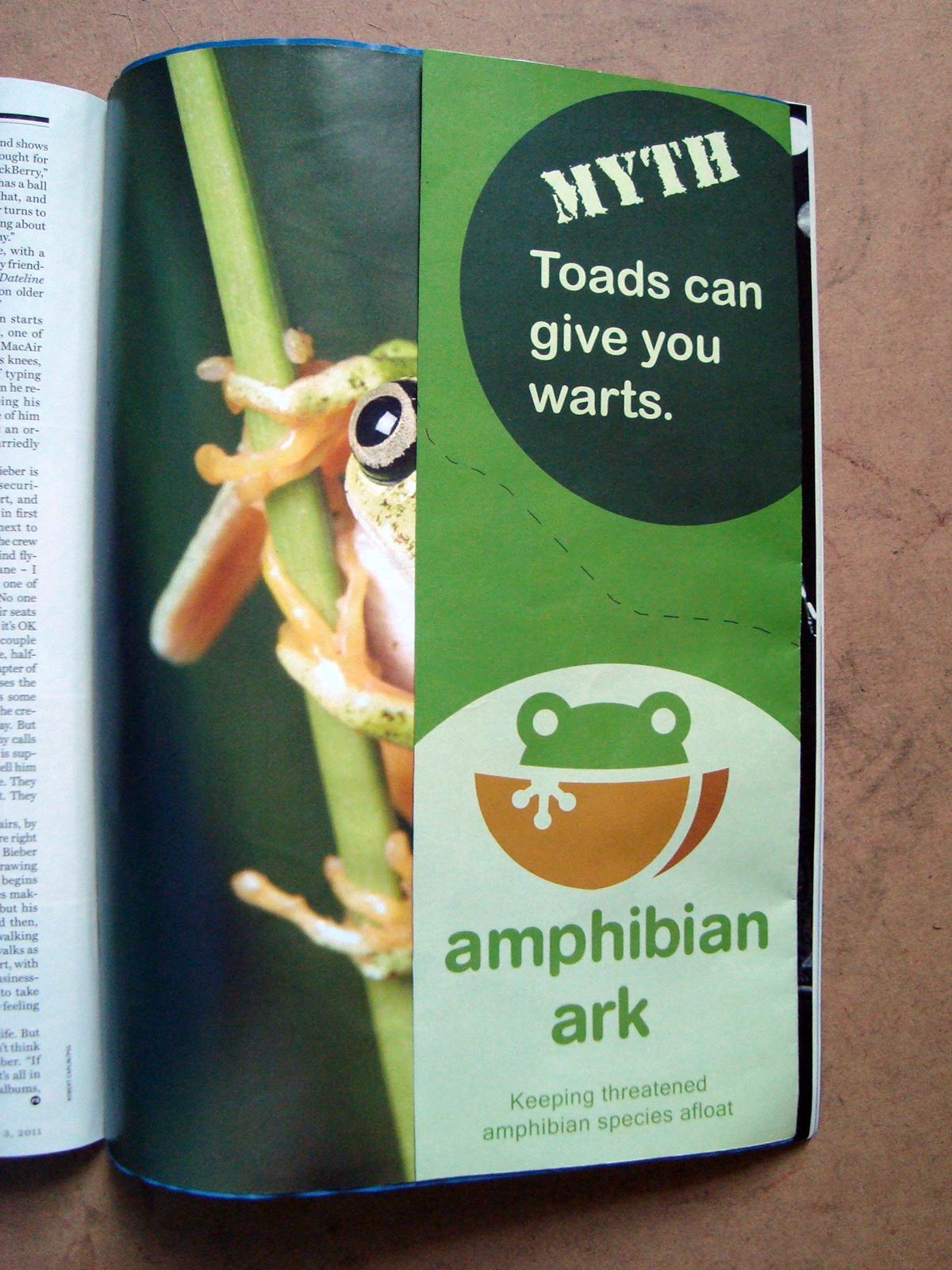 Amphibian Ark Booklet brochure Magazine Ad t-shirt ticket