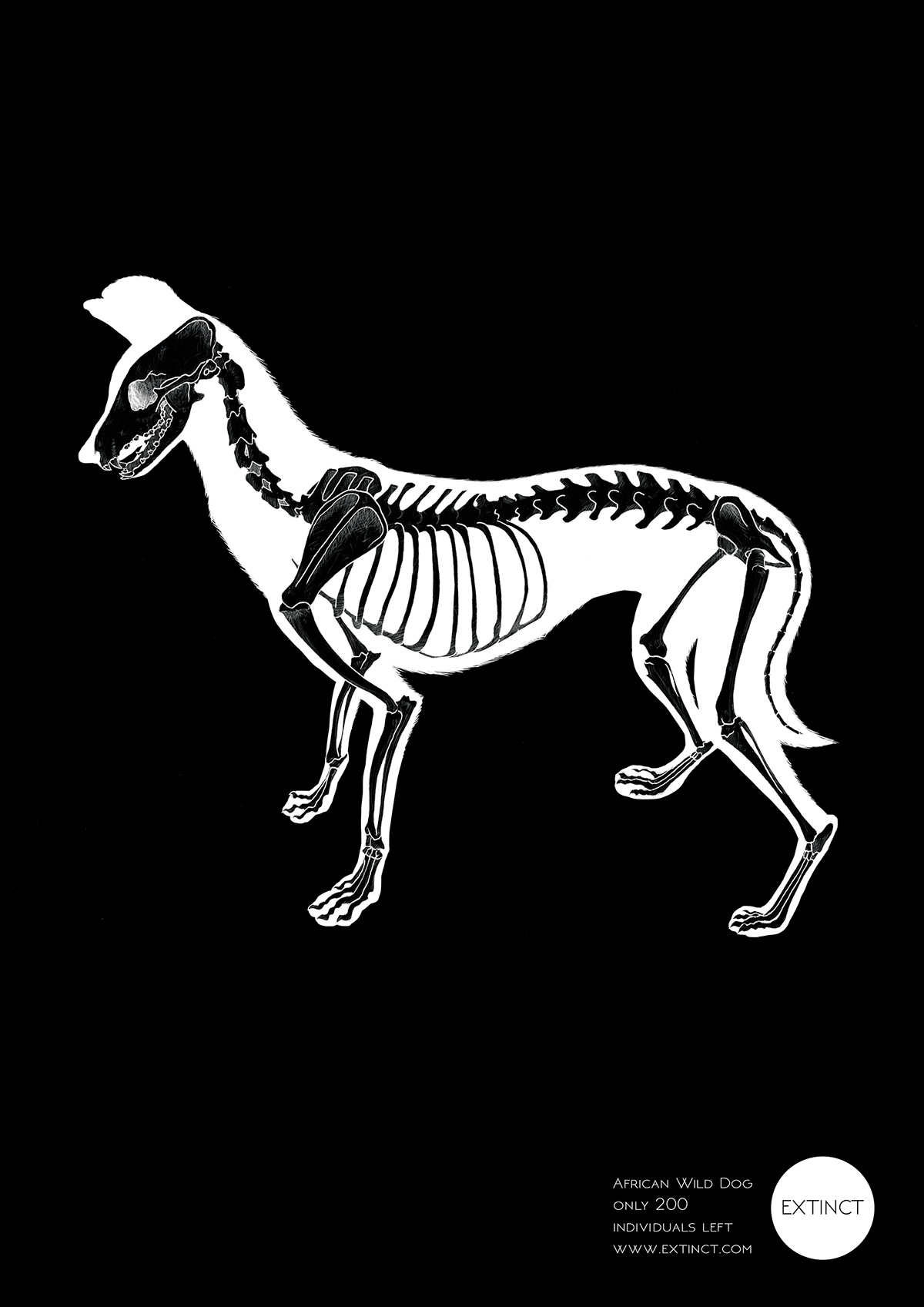 charity campaign fundraising WWF endangered animals species wildlife design Website packaging design photoshop skeleton t shirt design