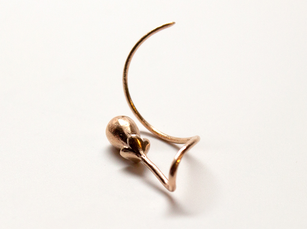 Adobe Portfolio jewelry cad earrings Rhino 3d modeling 3d printing design