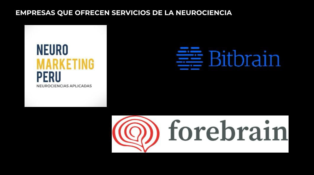 marketing   Neuroscience neuromarketing brand identity