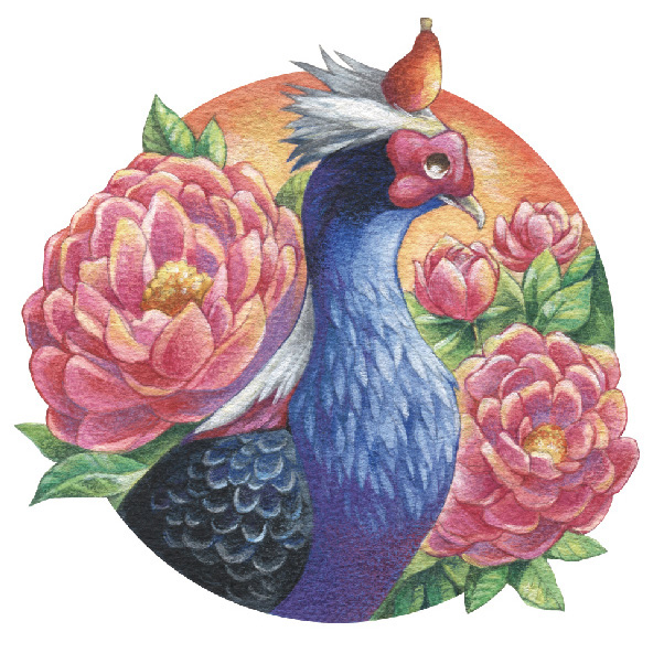 animal taiwan watercolor
