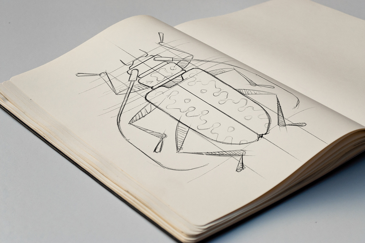 Beetle sketch for vector illustration by Adrian Bauer