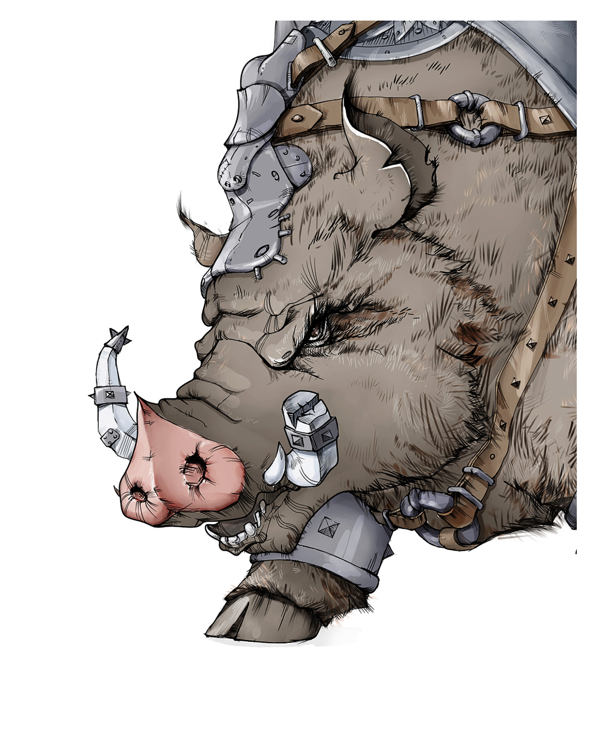 boar ILLUSTRATION  cartoon viking ukraine