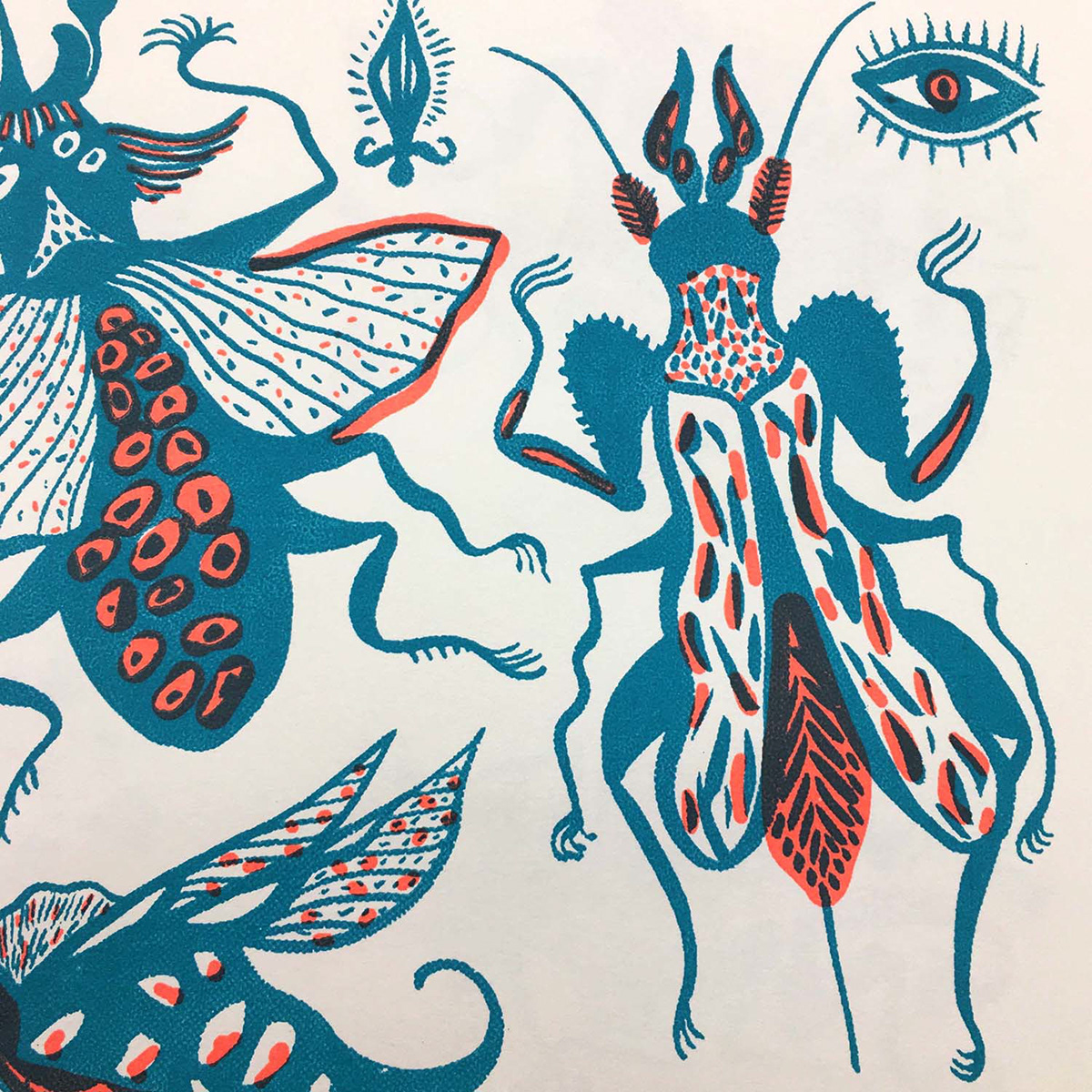 artbook book design bugs drawings illustrations insect printmaking screenprint silkscreen Zine 