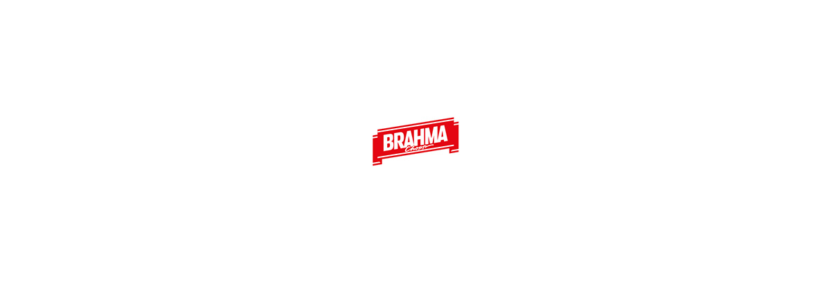 lettering typography   beer brahma