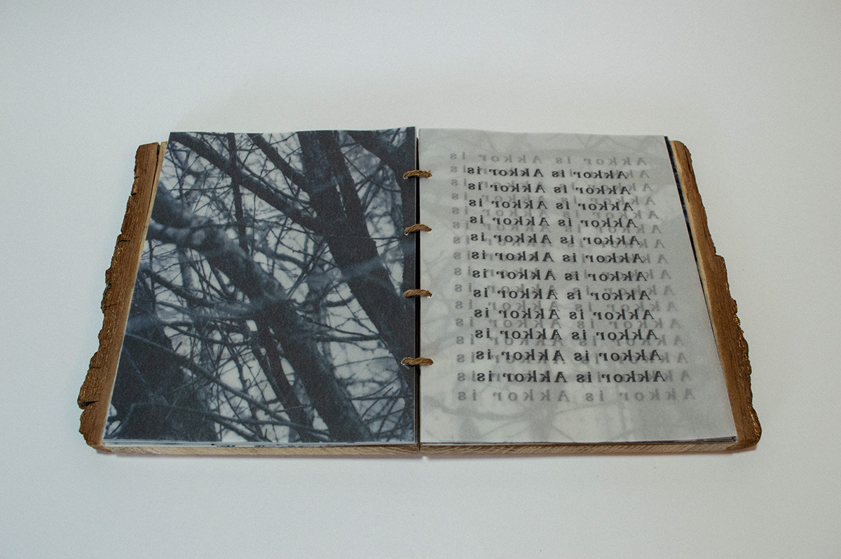 art artbook artist book Bookdesign design experimental graphic design  tyopgraphy wood