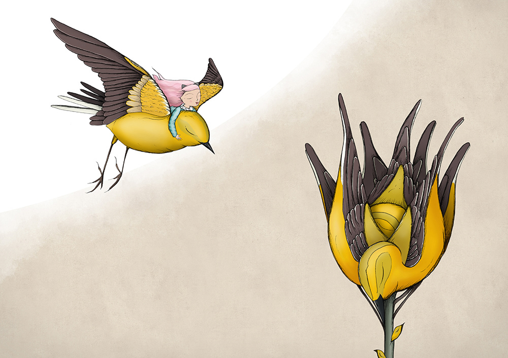 wagtail Bird Illustration Flower Illustration childrens book illustration childrens illustration