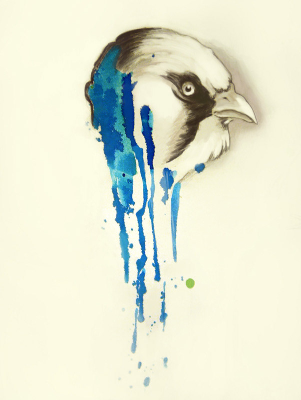 birds colours flow fluid pencil photoshop portrait water watercolour