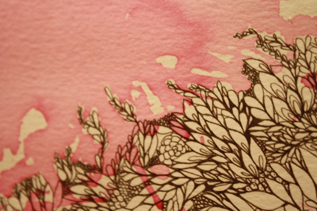 pink colour light pen ink design pattern flower leaf leaves circle Flowers Plant Nature