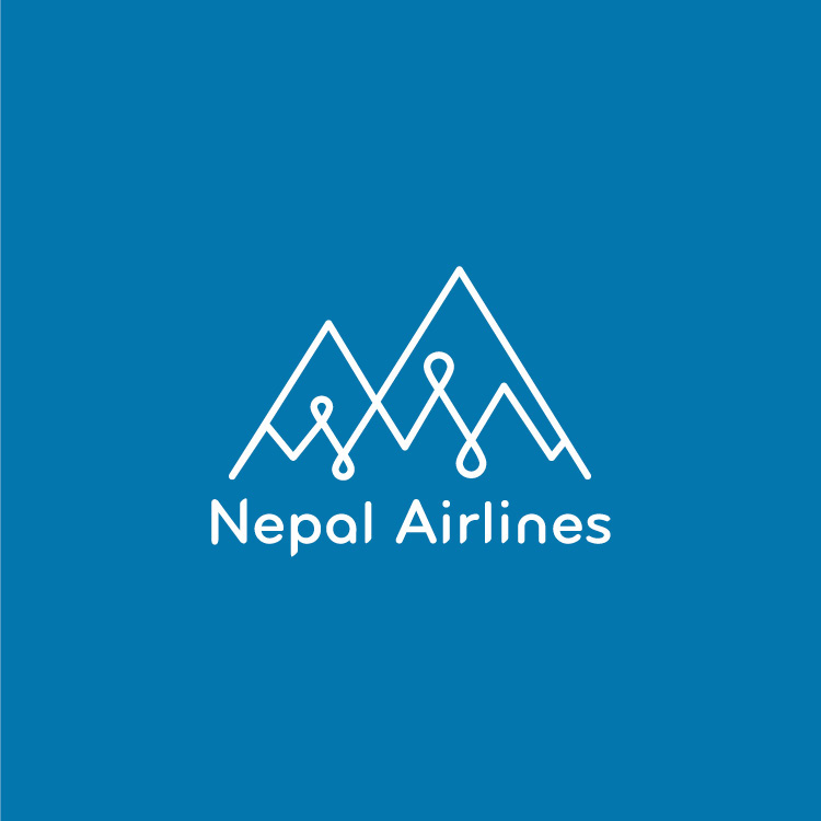 airplane branding  brand book airline nepal