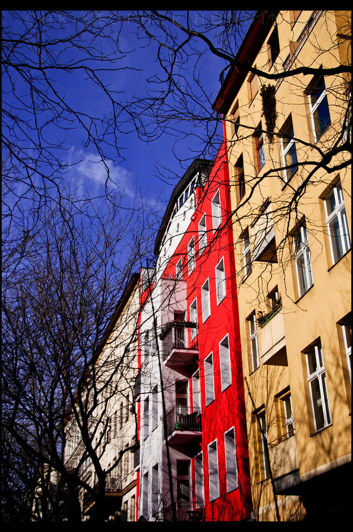 berlin city streets Urban winter cold Perspective buildings houses Nikon plants Berlin City photo macro
