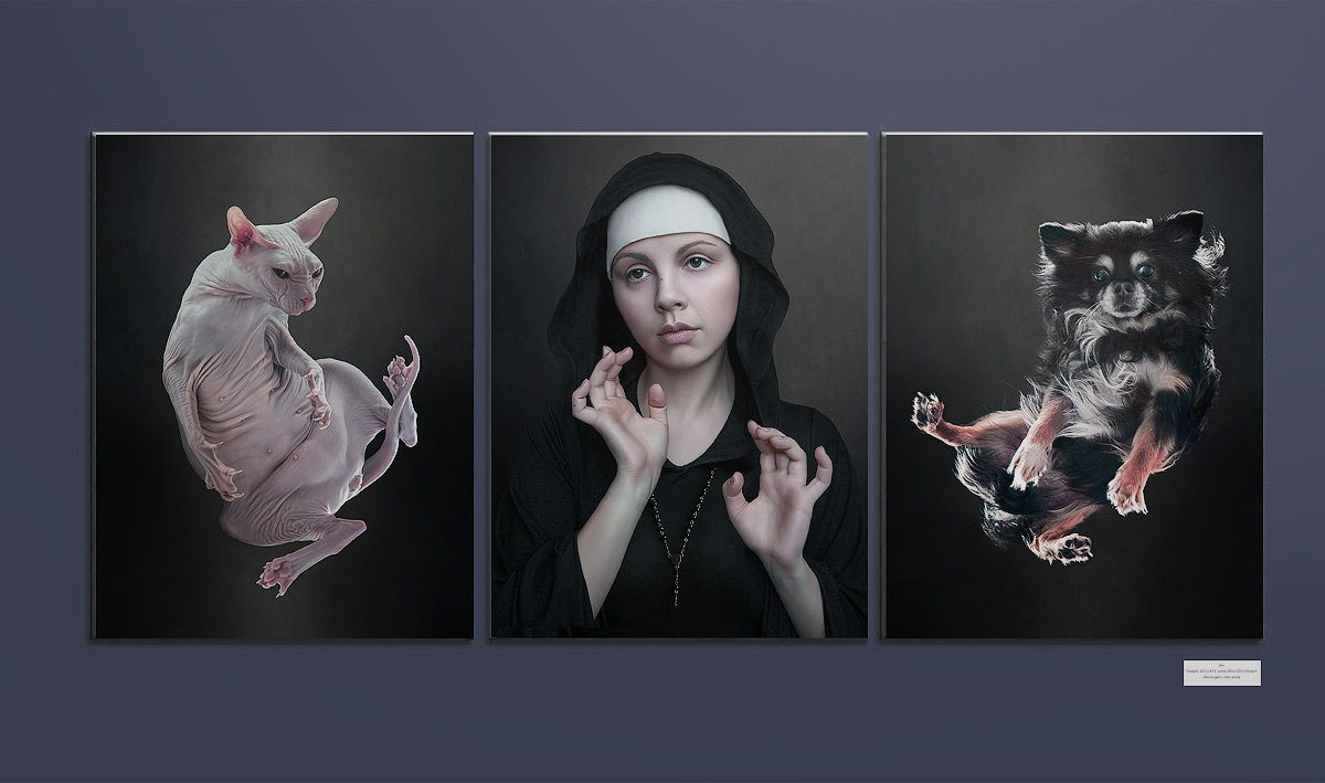 Triptych bold Cat dog portrait Project print poster art contemporary