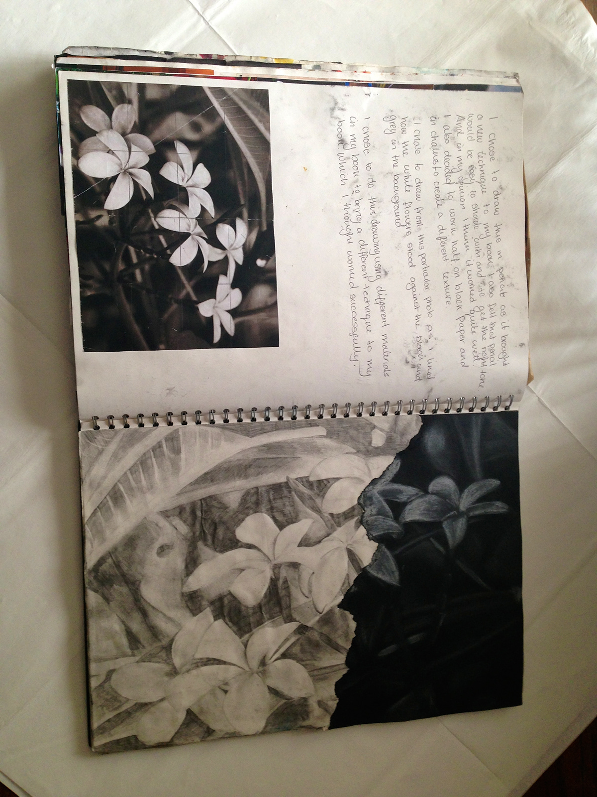 art sketchbook paint enviroment landscapes bob barker leaves Flowers creative