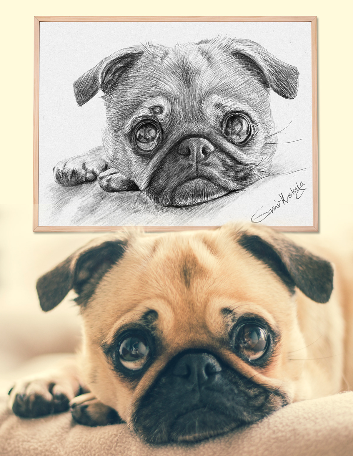 custom dog portrait custom pet portrait Digital Drawing Drawing  Pencil drawing Pet Portrait