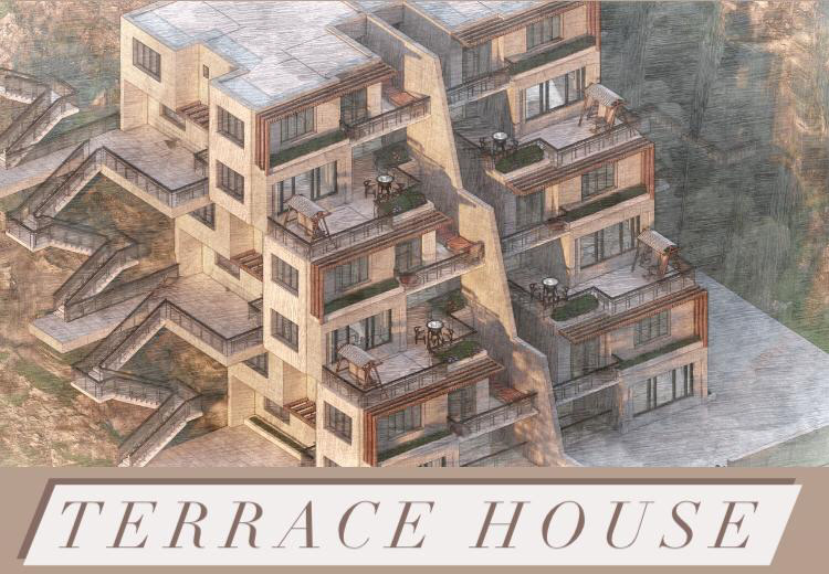 architecture exterior exterior design lumion photoshop rendering revit terrace Terrace design Terraced house