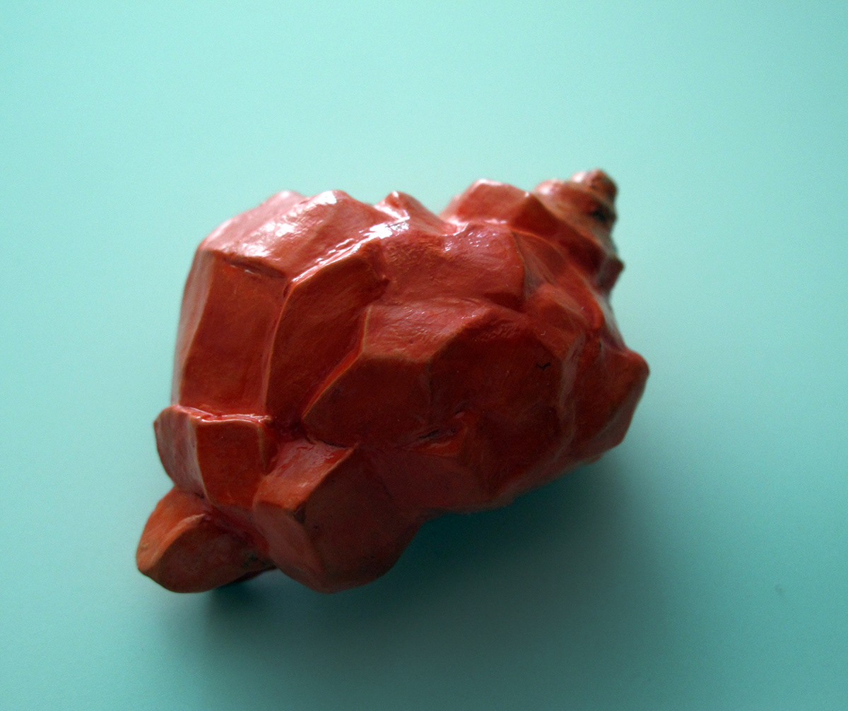 Shell Sculpture shell Triton