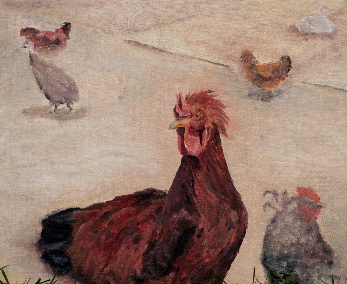 Livestock oil canvas cock hen