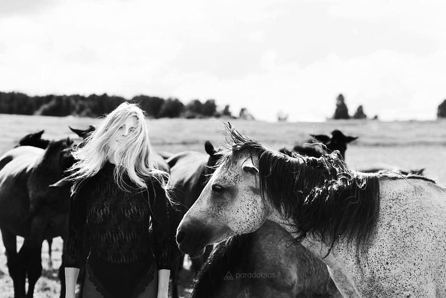 horse horses model portrait Herd pasture grass face hair tail women