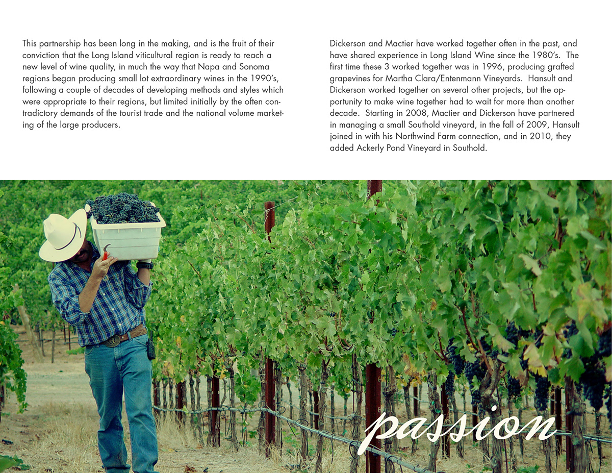 brochure Bi Fold print vineyard north fork long island wine