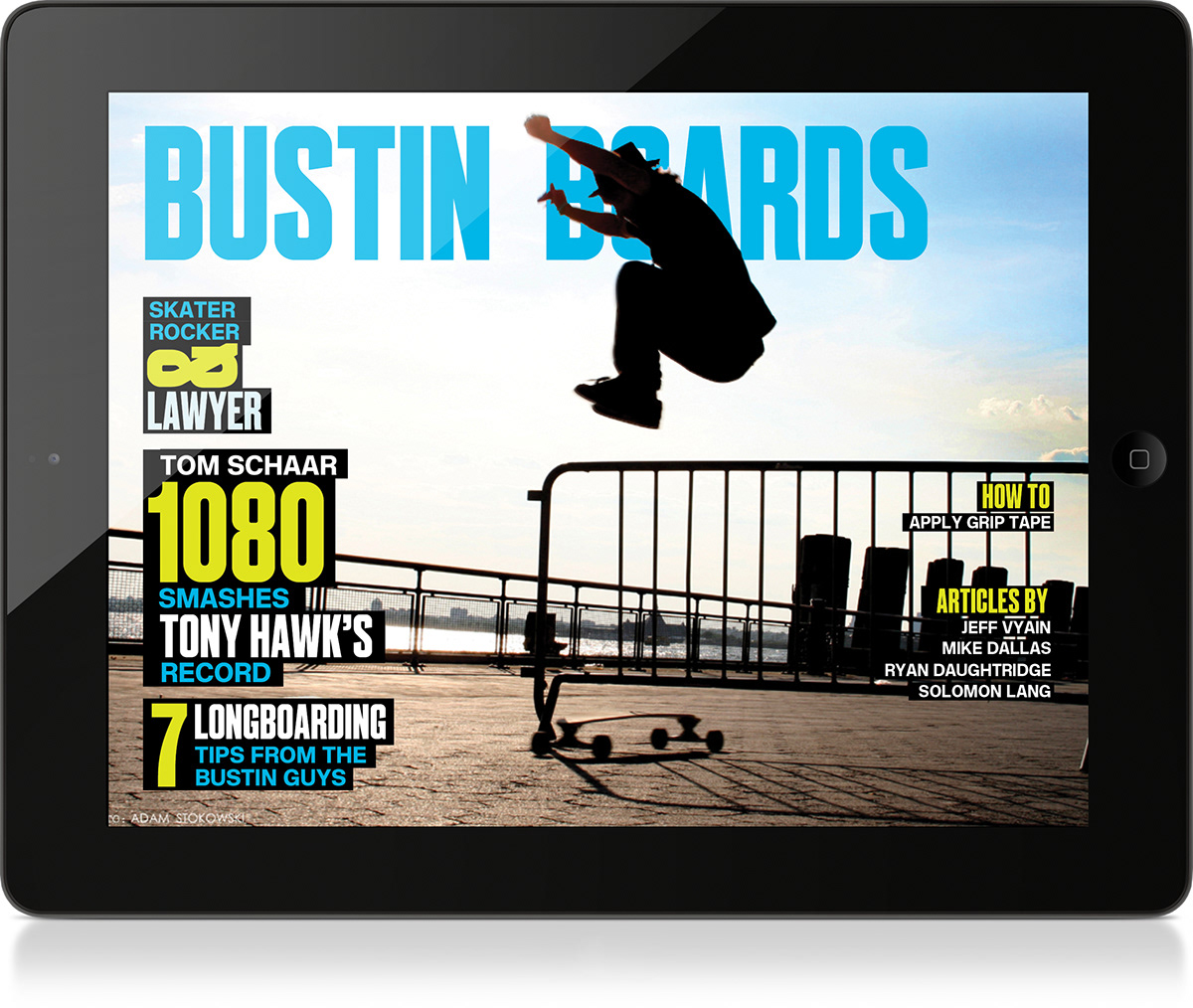 bustin boards info-graphic poster
