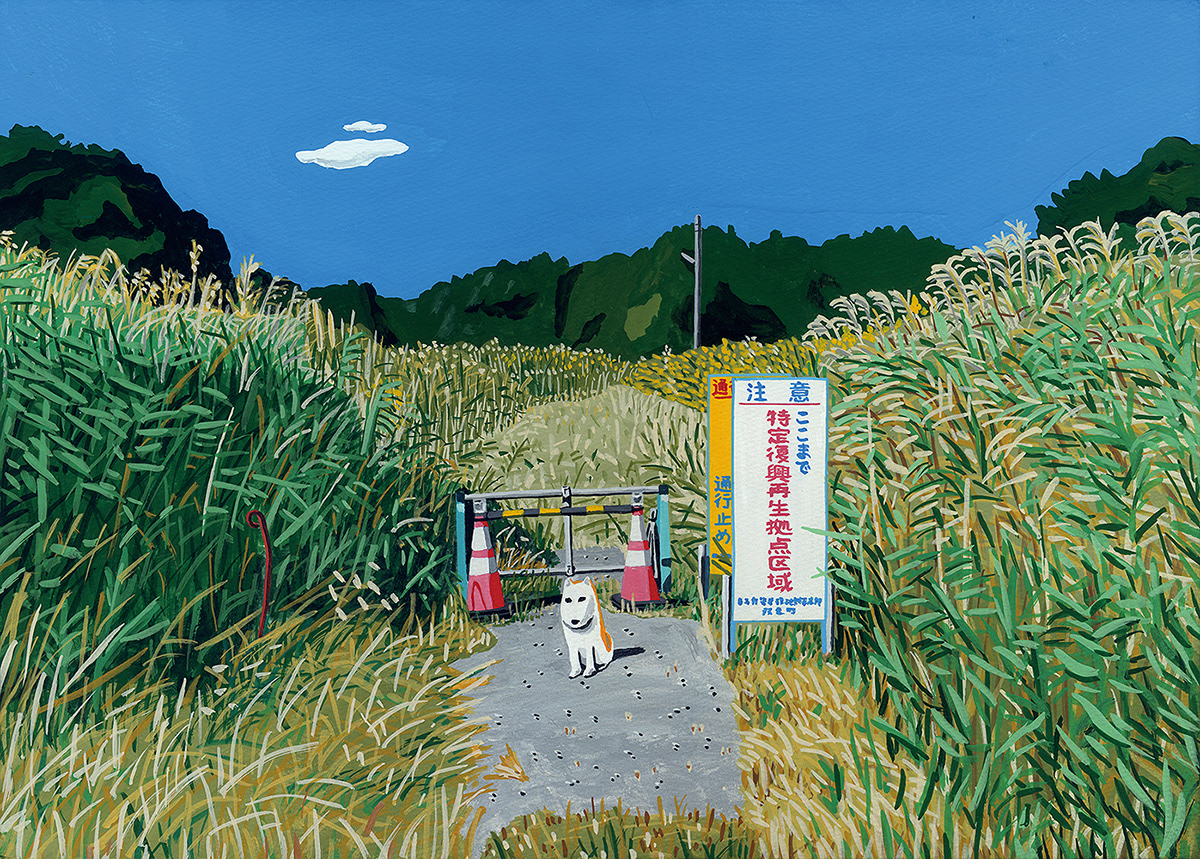 ILLUSTRATION  Fukushima painting   dog SKY childrensbooks eastjapanearthquake evacuation nucleardisaster shibainu