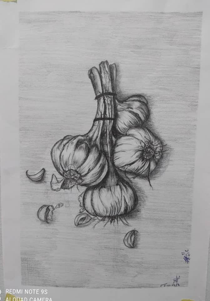 Garlic still-life