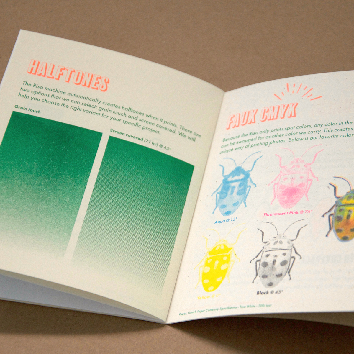 risograph Riso Booklet typography   ILLUSTRATION  infographic