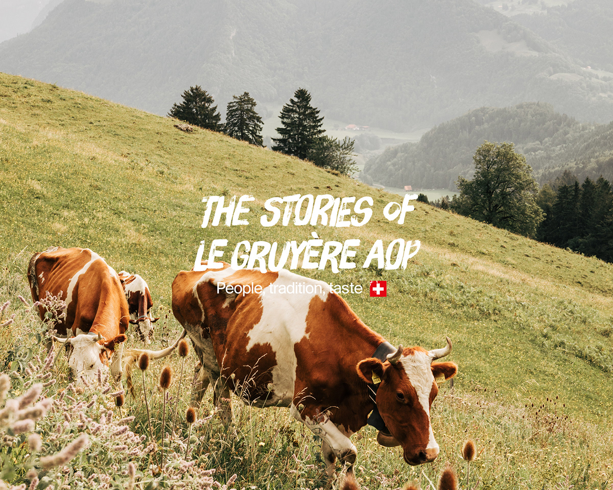 behind the scenes brand building Cheese Food  magazine print social media branding  Food Advertising Switzerland