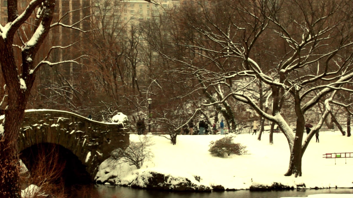 nyc first snow snowfall 2012 Central Park jillian buckley Love winter Slow motion twixtor