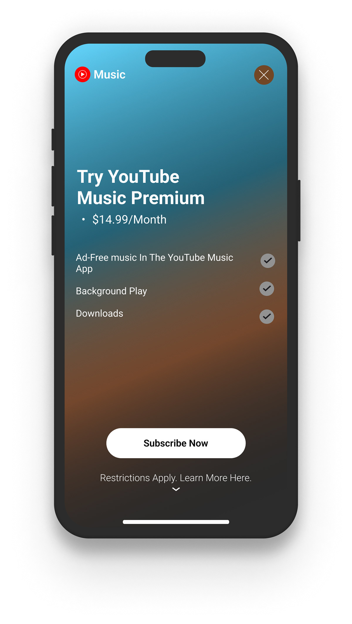 You Tube music premium subscription 
