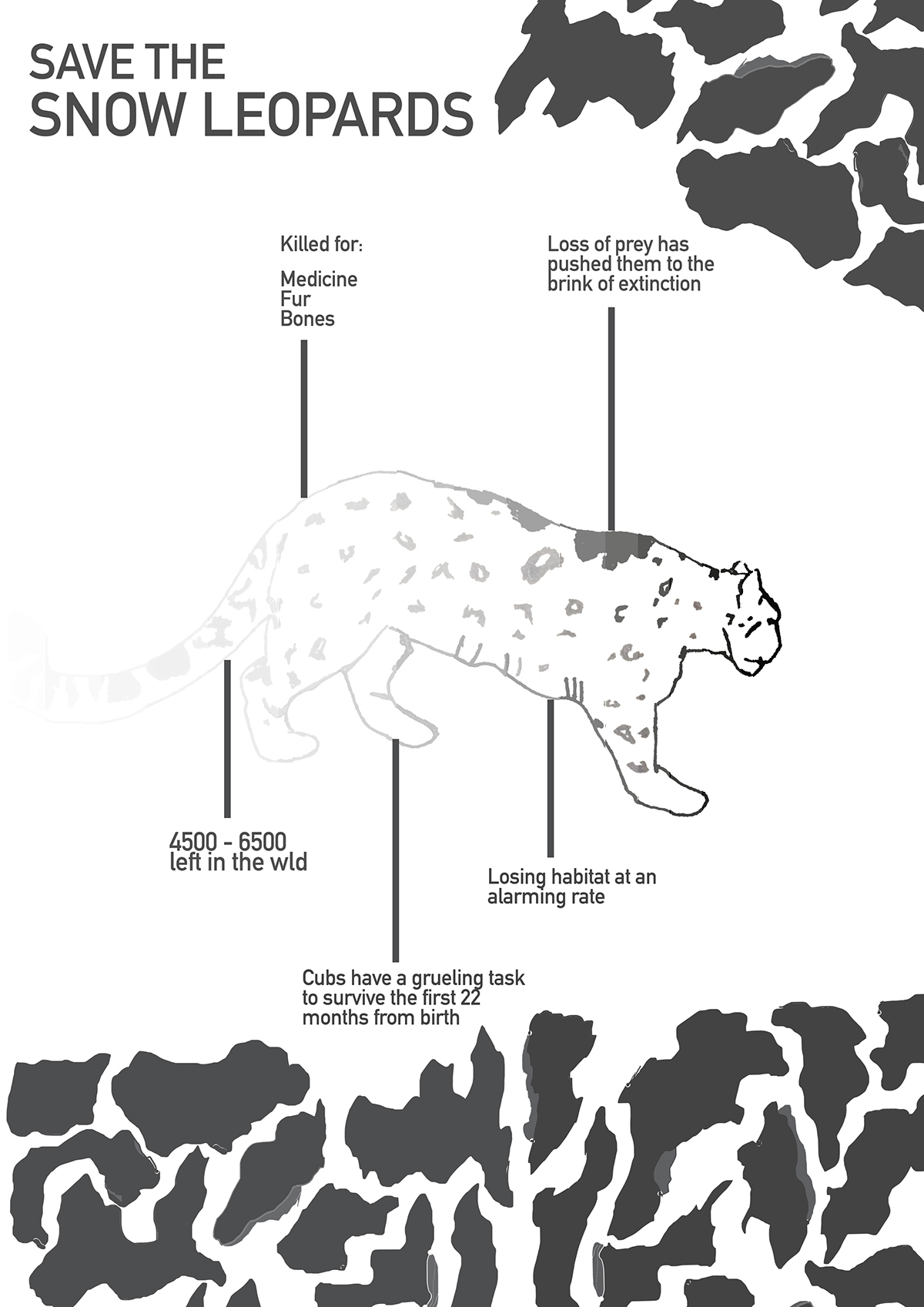 Snow Leopard WWF Nature conservation infographic