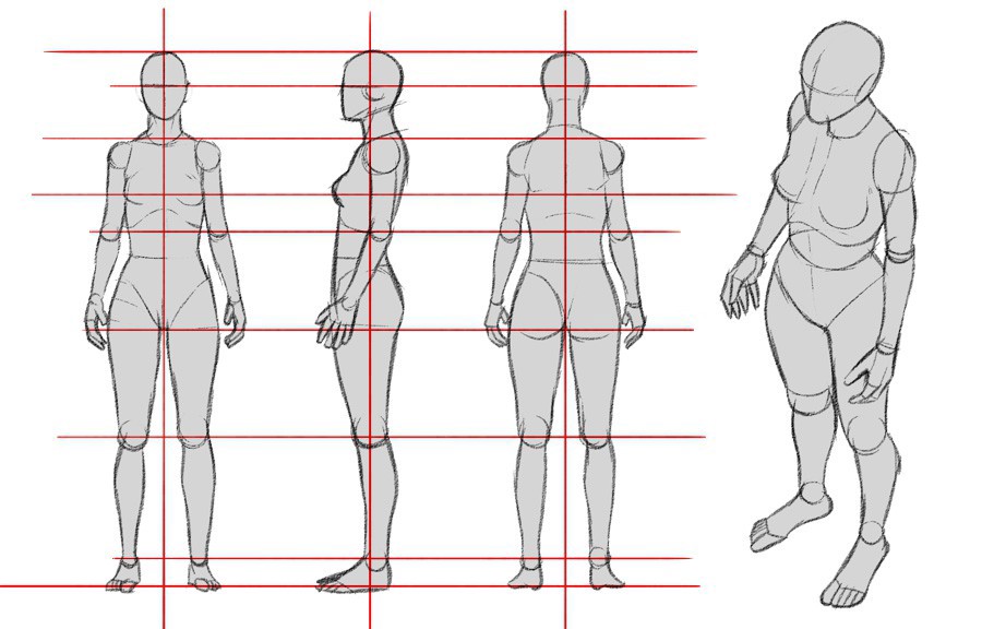 Studying The Human Figure :: Behance