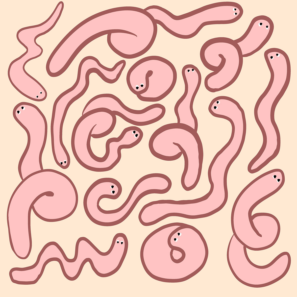 ILLUSTRATION  artwork Drawing  painting   cartoon concept art Procreate worms art worm